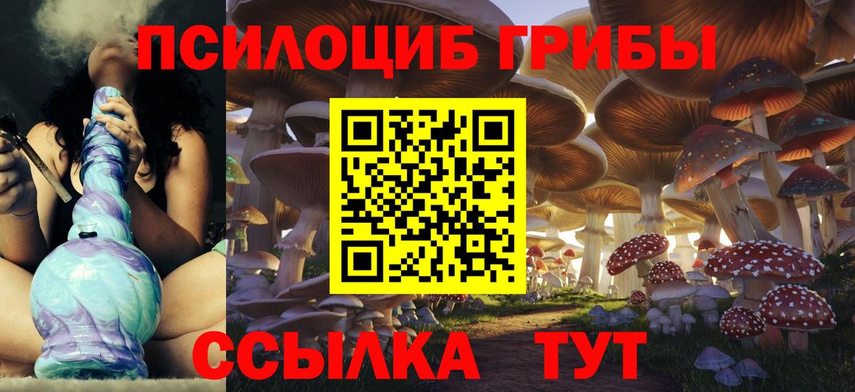 Кореновск  цена   Вход с VPN  Галлюциногенные грибы GOLDEN TEACHER 
